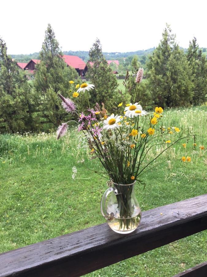 Bran Nori Albi Vila Si Cabana Bran (Brasov) Esterno foto