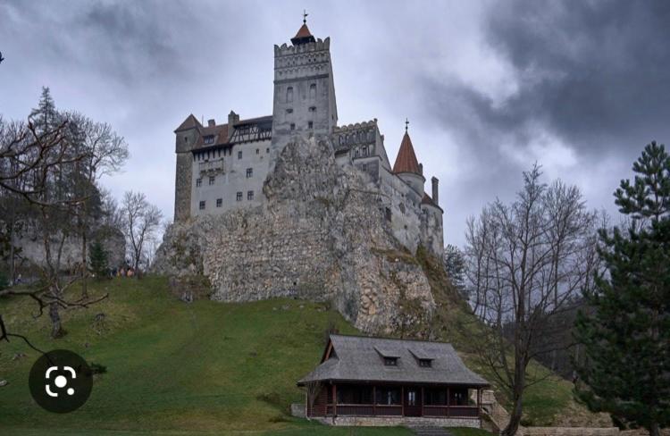 Bran Nori Albi Vila Si Cabana Bran (Brasov) Esterno foto