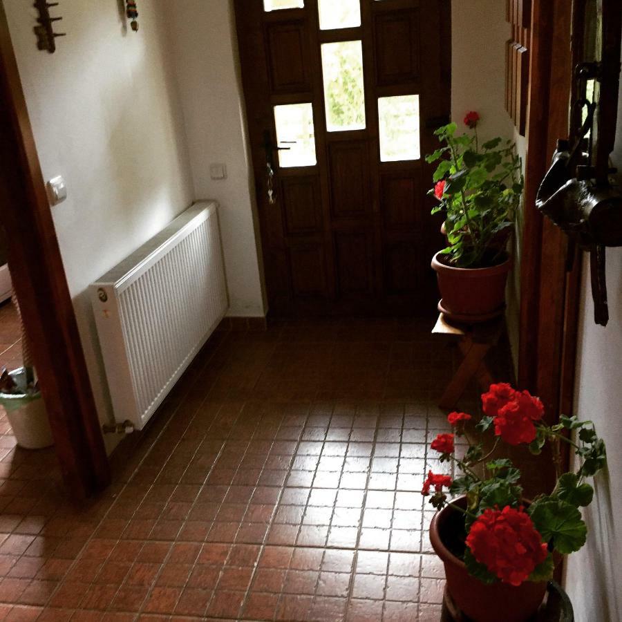 Bran Nori Albi Vila Si Cabana Bran (Brasov) Esterno foto