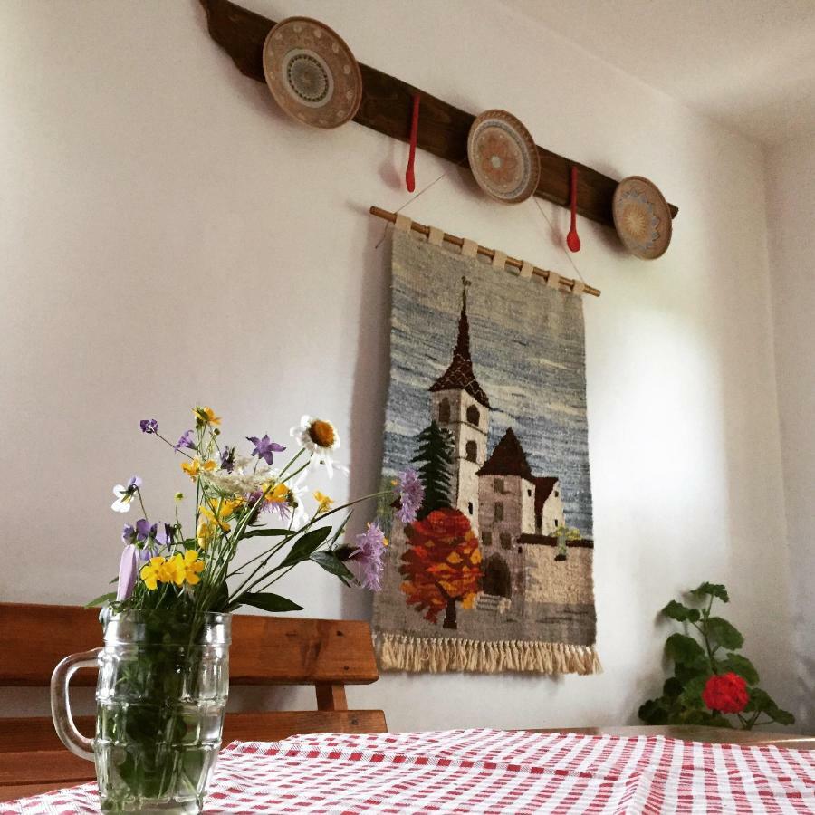 Bran Nori Albi Vila Si Cabana Bran (Brasov) Esterno foto
